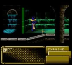 Nightshade