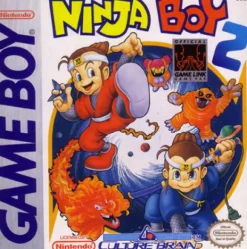 Ninja Boy II