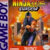 Ninja Gaiden Shadow