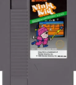 Ninja Kid