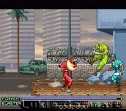 Ninja Warriors