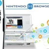 Nintendo DS Browser