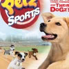 Petz Sports Dog Playground