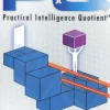 PQ Practical Intelligence Quotient