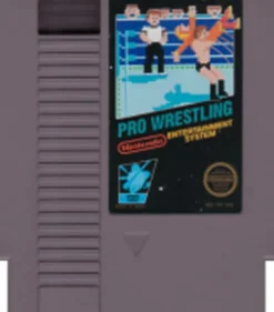 Pro Wrestling