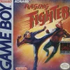 Raging Fighter