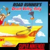 Road Runner's Death Valley Rally