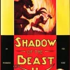 Shadow of the Beast II