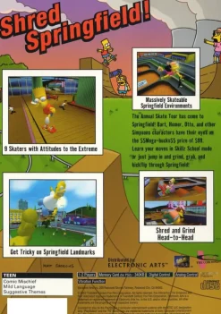 Simpsons Skateboarding