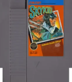 Sky Kid