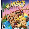 Slingo Quest DS Game