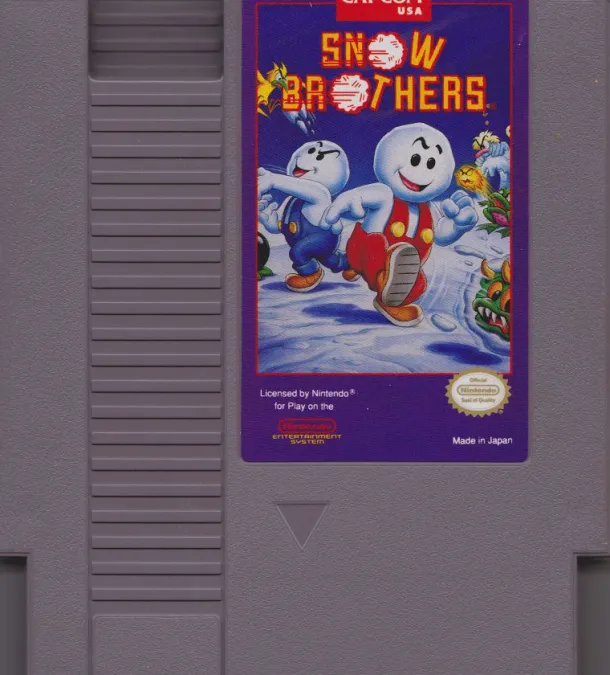Snow Brothers
