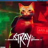 Stray