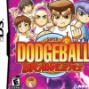 Super Dodgeball Brawlers DS Game