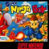 Super Ninja Boy