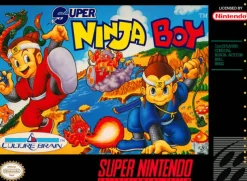 Super Ninja Boy