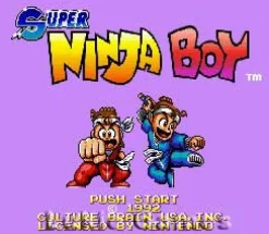 Super Ninja Boy