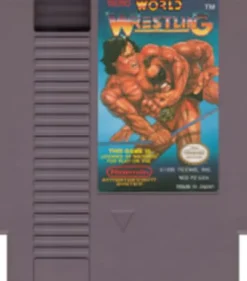 Tecmo Wrestling