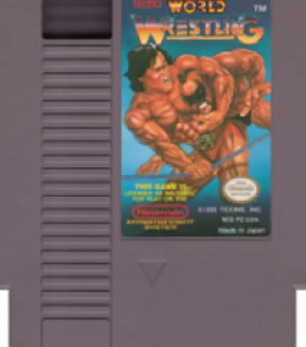 Tecmo Wrestling
