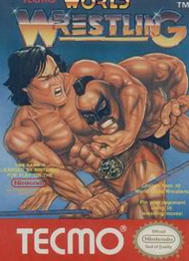 Tecmo Wrestling