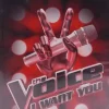 The Voice: I Want You Nintendo Wii Game