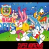 Tiny Toon Adventures Wacky Sports