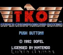 TKO Super Championship Boxing