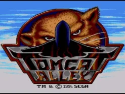 Tomcat Alley