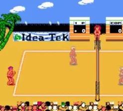 Venice Beach Volleyball
