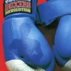 Victorious Boxers Revolution