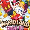 Wario Land Shake It