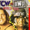 WCW vs. nWo World Tour