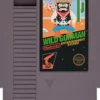 Wild Gunman