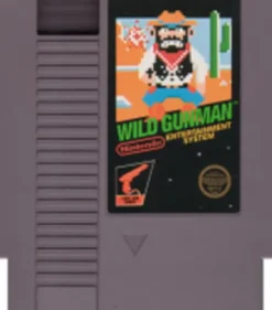 Wild Gunman