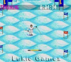 Winter Olympics 94