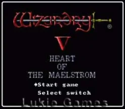 Wizardry V 5