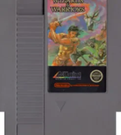 Wizards and Warriors
