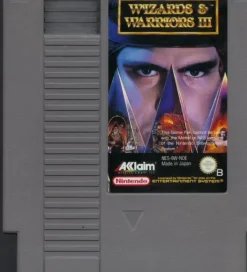 Wizards and Warriors 3