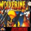 Wolverine Adamantium Rage