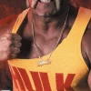 WWE 2K15: Hulkamania Edition