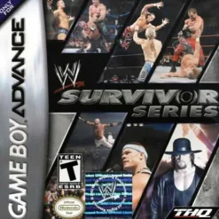 WWE Survivor Series